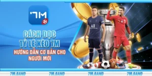 Cách đọc tỷ lệ kèo 7m – Hướng dẫn cơ bản cho người mới